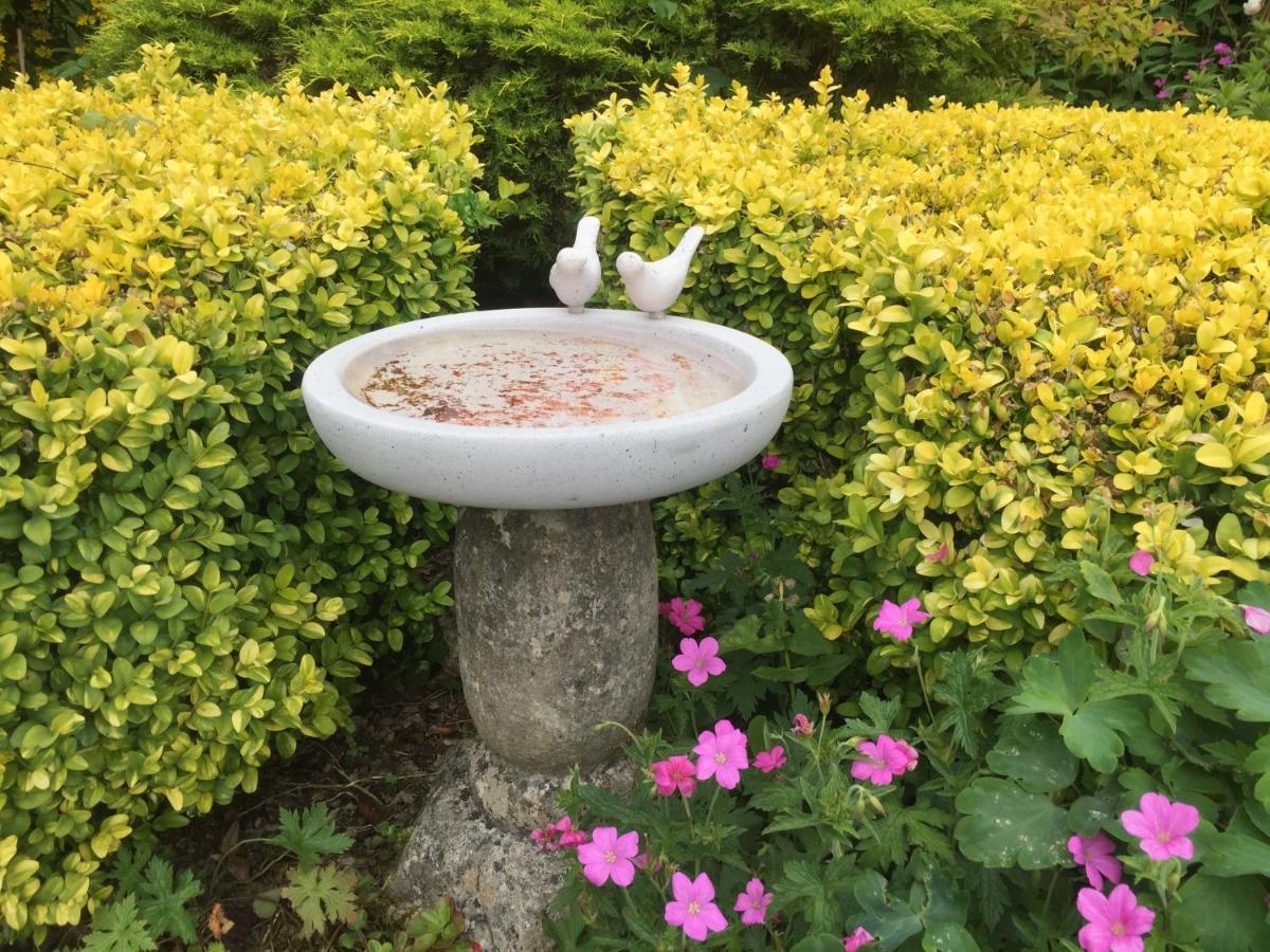 Trekkle Cottage 게이트하우스오브플리트 외부 사진